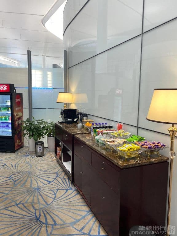 First Class Lounge No. 3(T2 Domestic) - 4