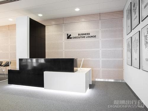 Business Executive Lounge - 2