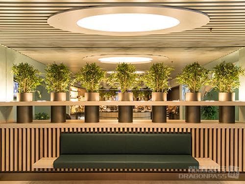 VIP Lounge - 4