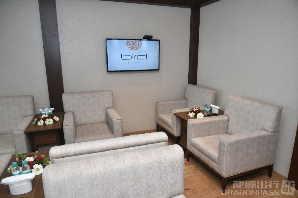 Bird Lounge - 4