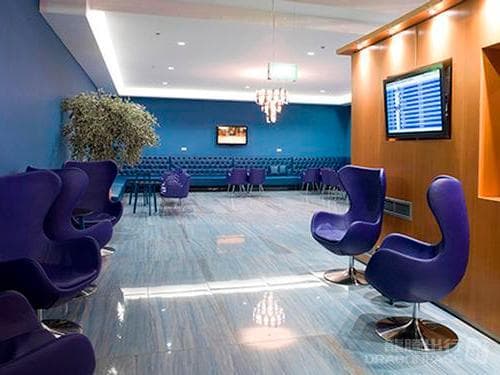 Skyserv Melina Merkouri Lounge - 4