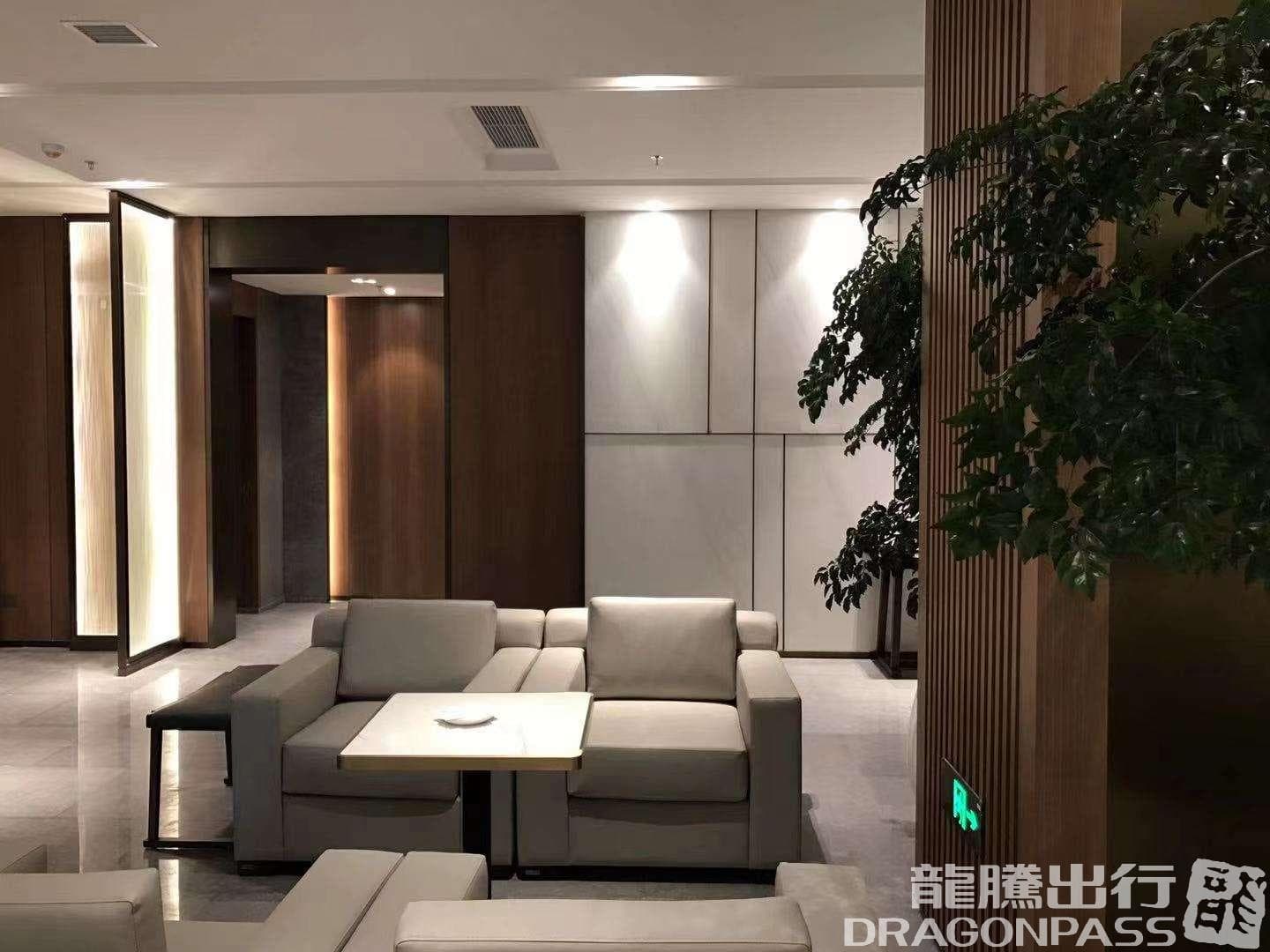 VIP Lounge (T3 Dom) - 1