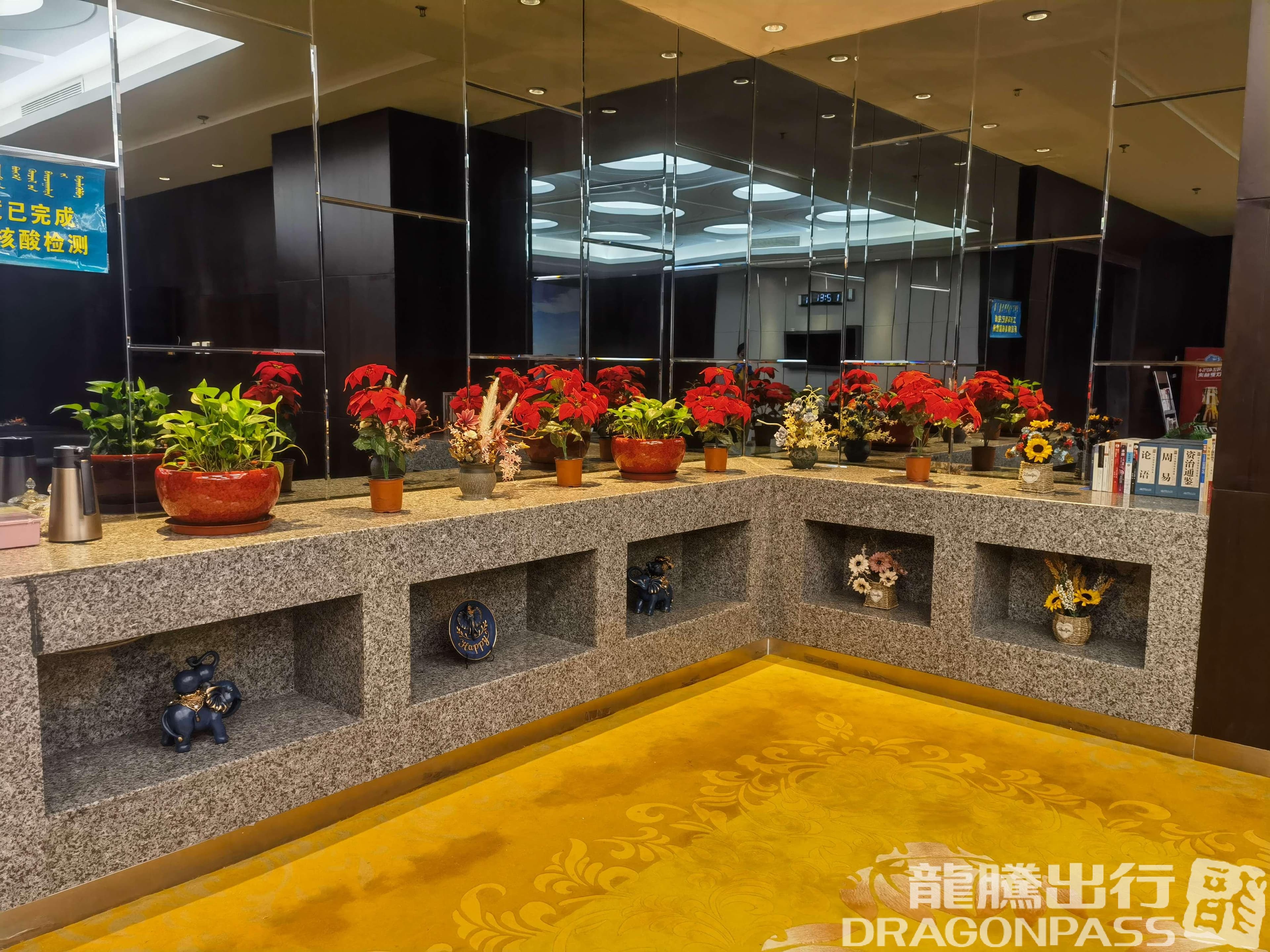 VIP Lounge - 2