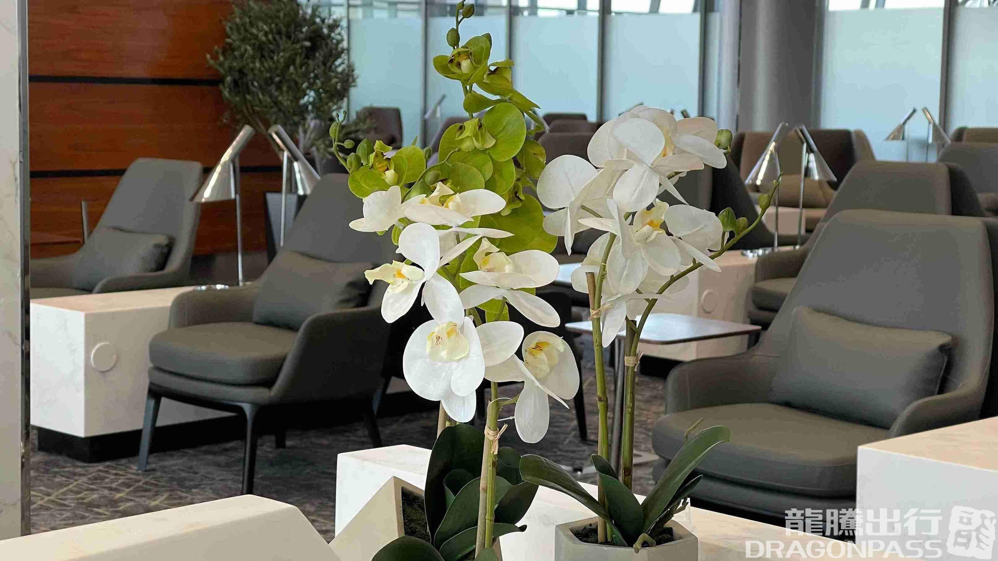 Hayyak Lounge - 4