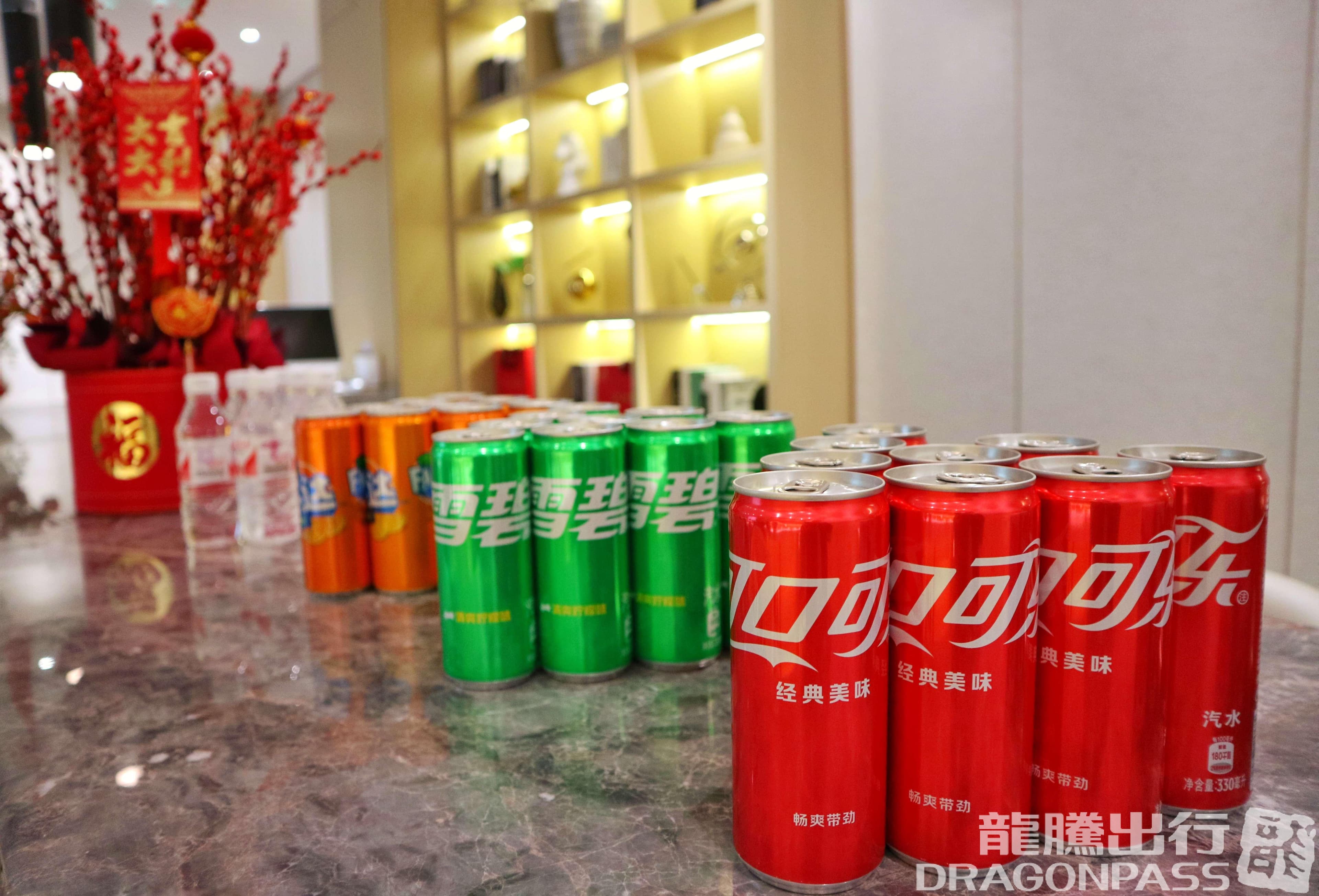 First Class Lounge 4 (T2 International) - 3