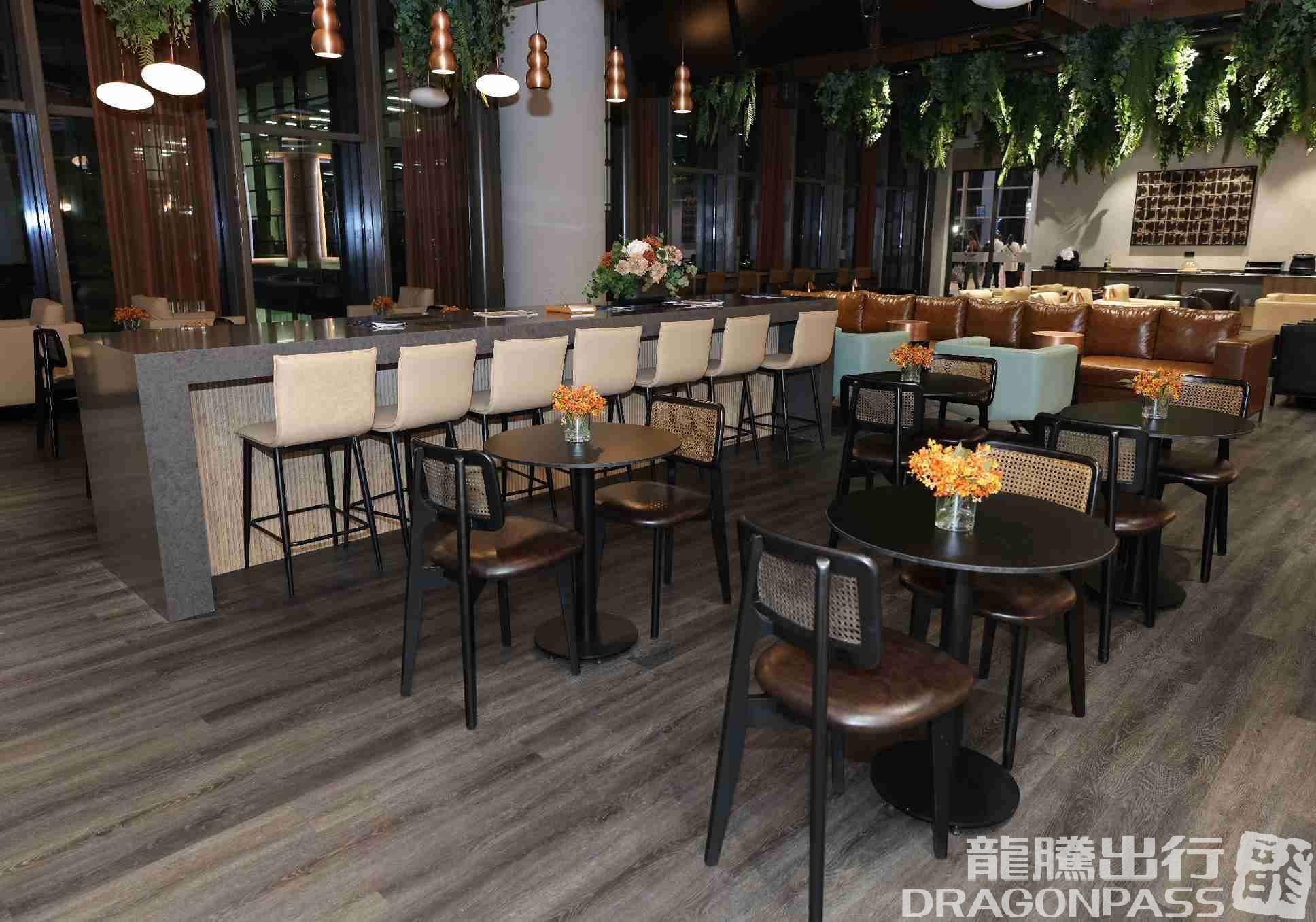 Platinum Lounge (Domestic) - 1