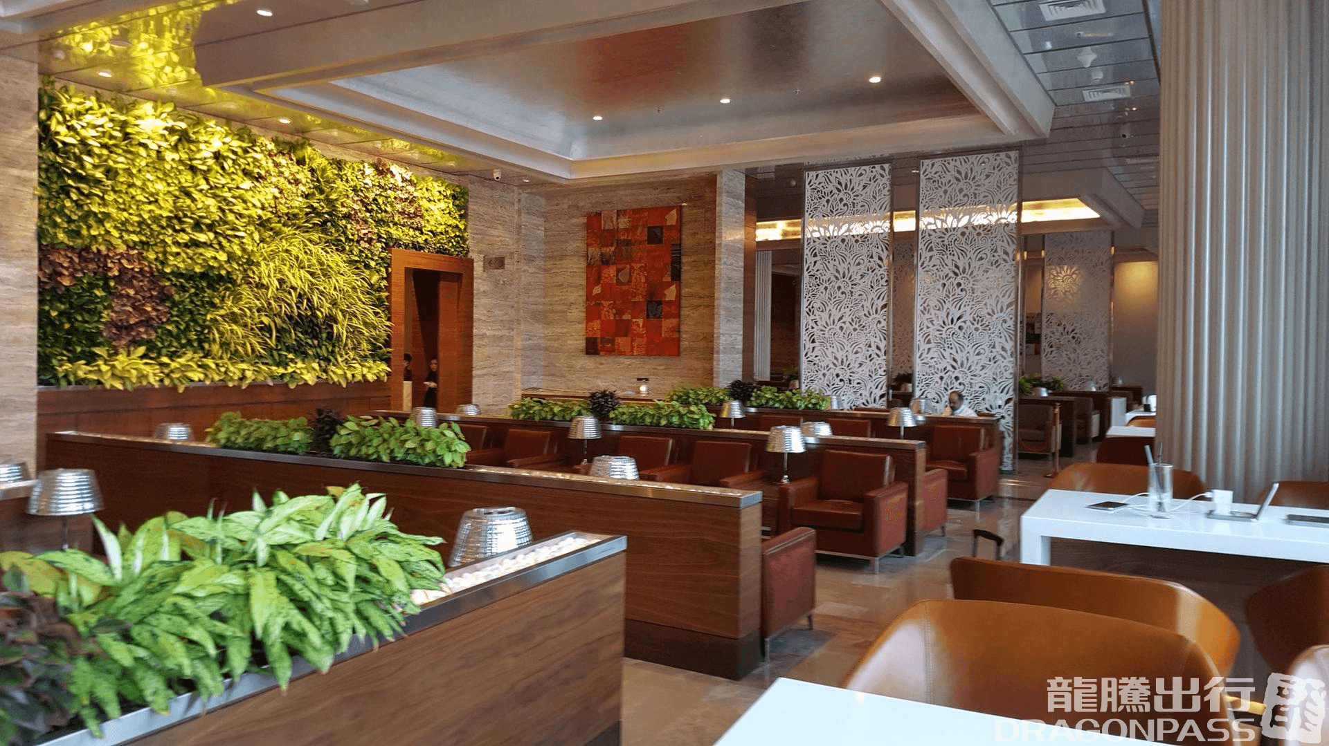 Adani Lounge (Terminal 2) - 1