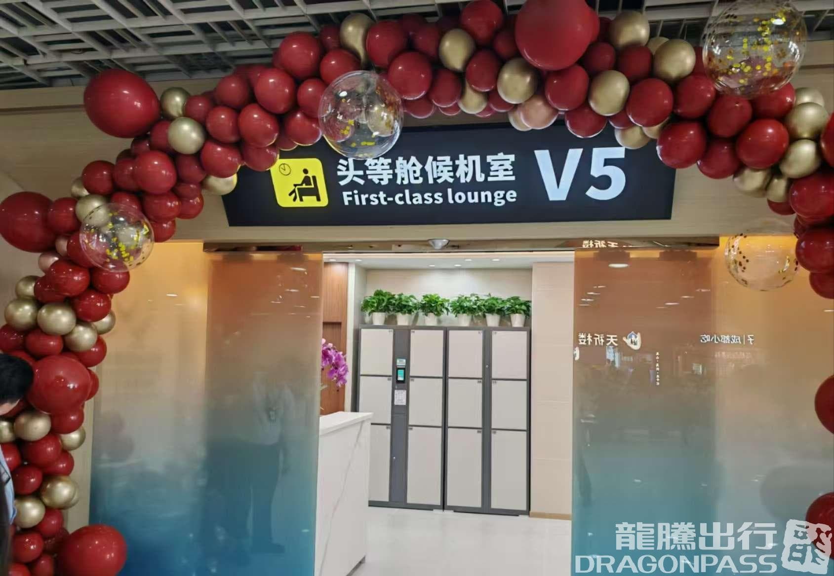 V5 First Class Lounge (T1 Domestic) - 3