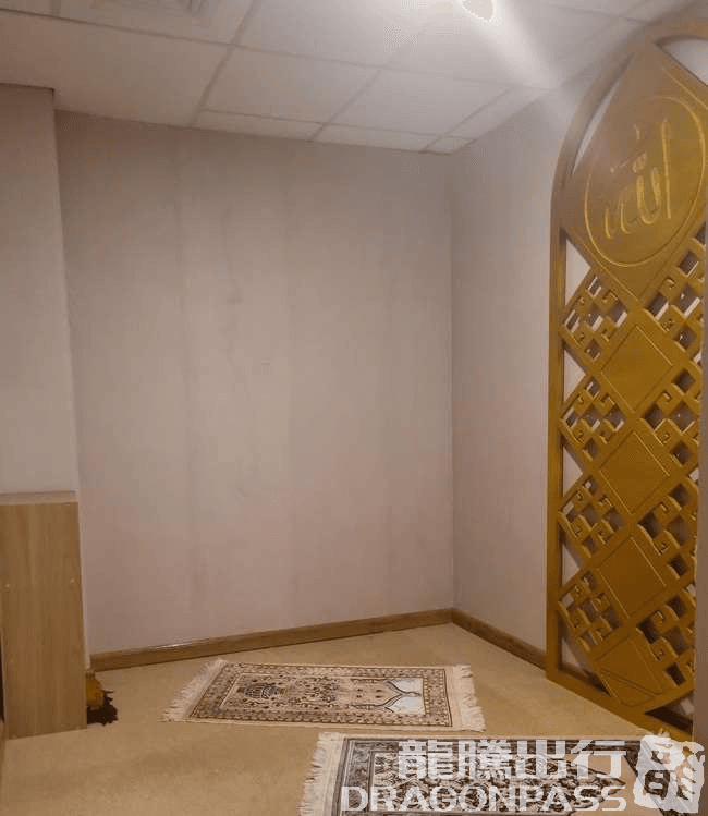 Concordia Lounge(Domestic) - 1