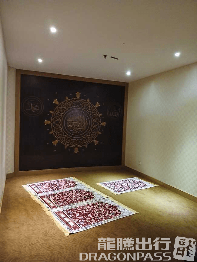 Concordia Lounge(Domestic) - 2