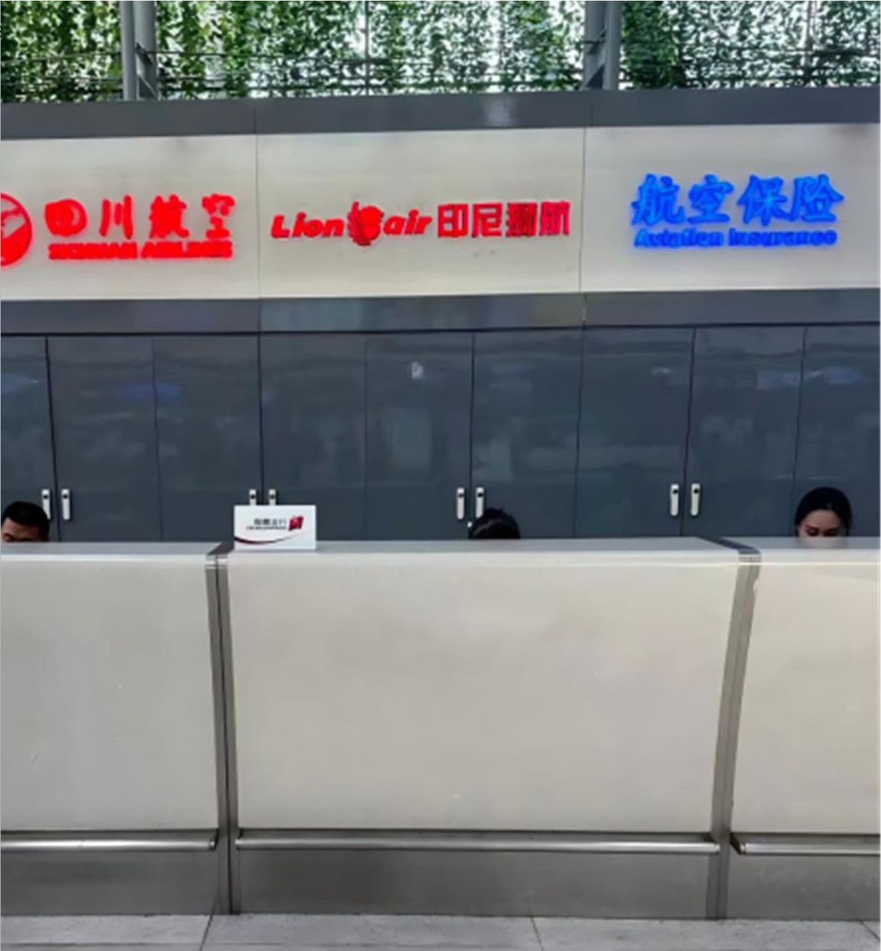 Guest Reception Counter (Domestic Departures) - 1
