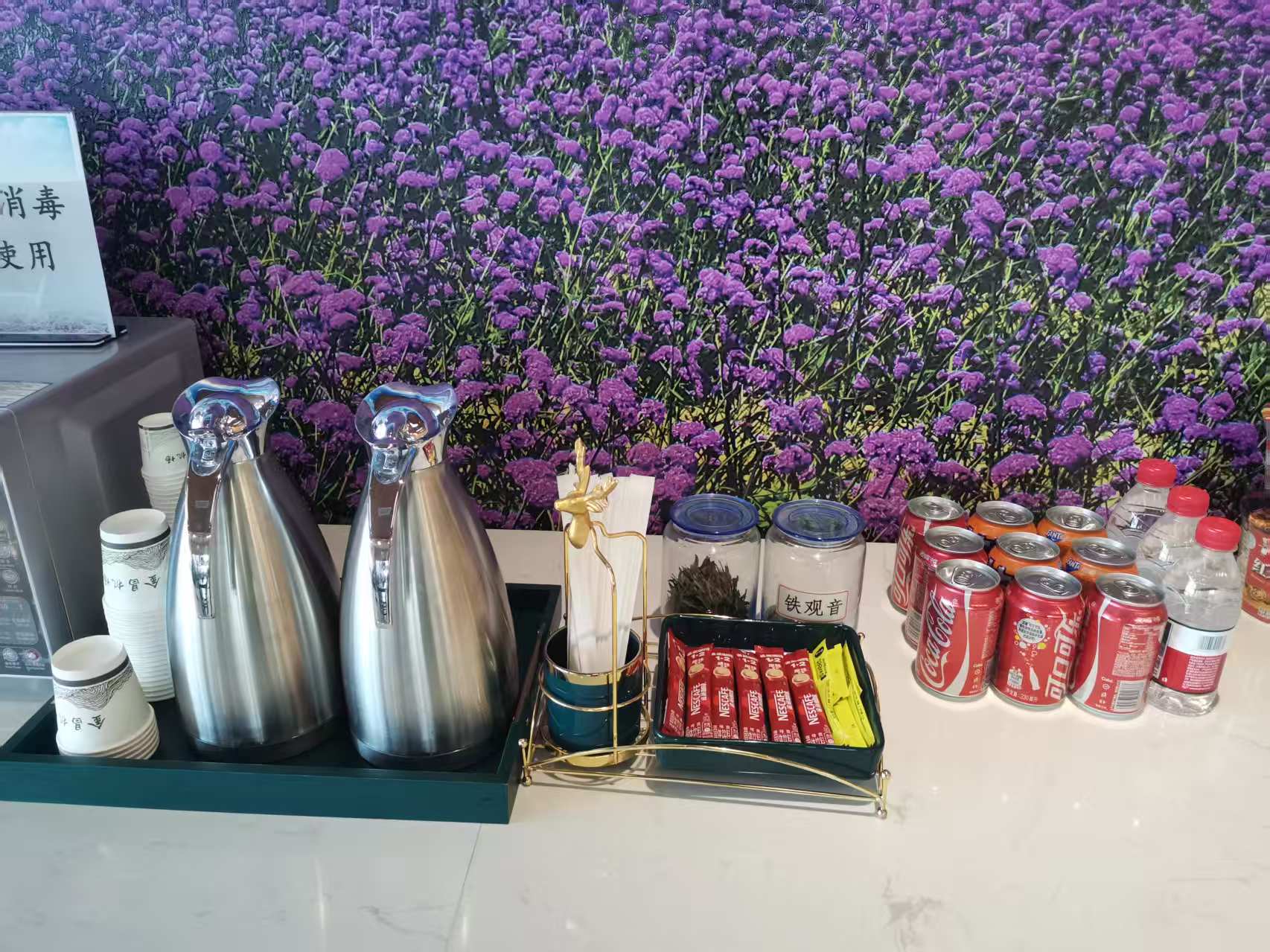 First Class Lounge (Domestic) - 1
