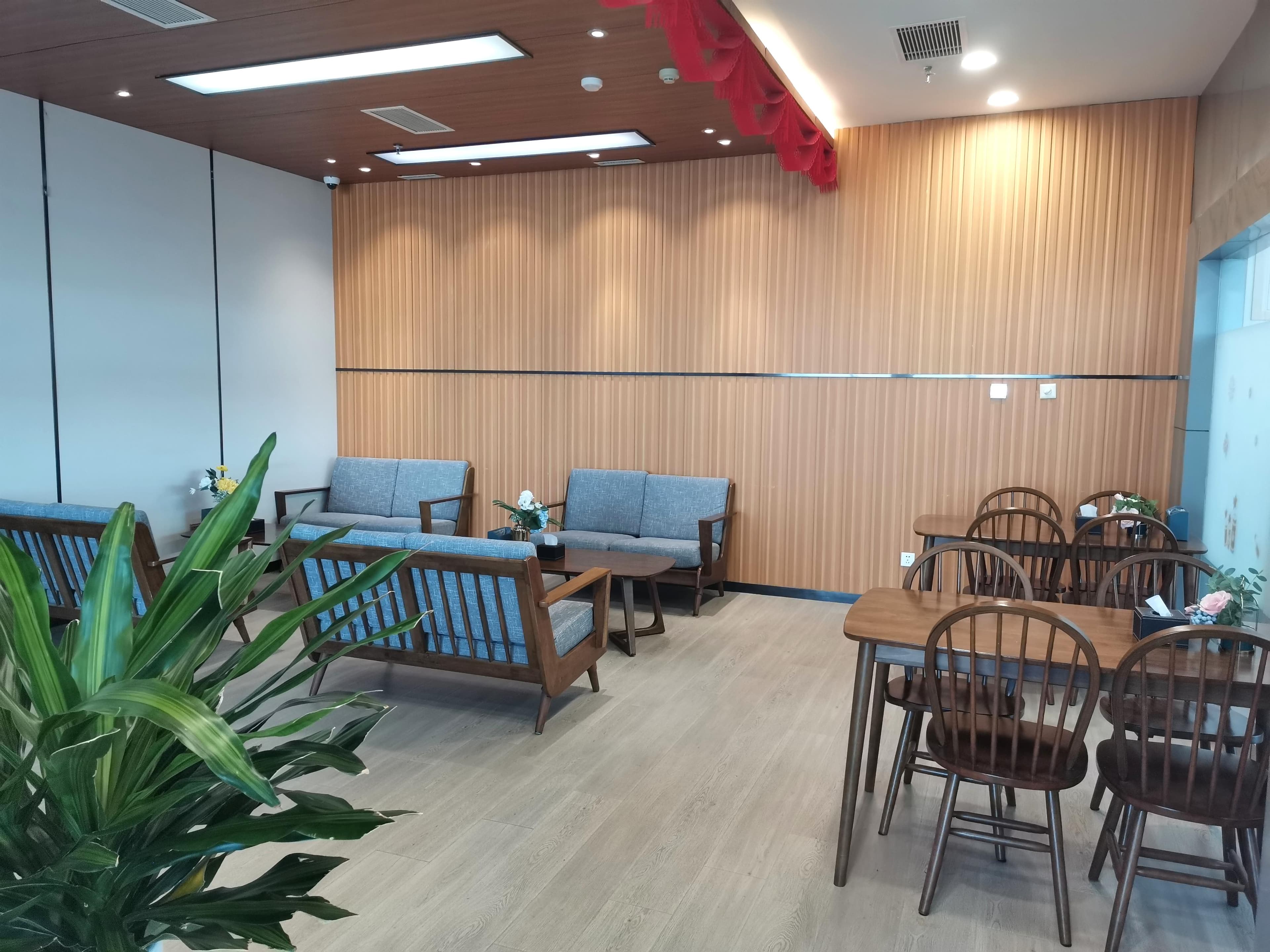 First Class Lounge (Domestic) - 4